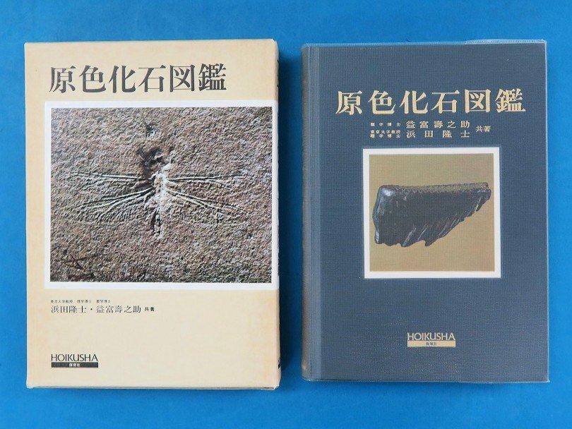 物件画像 1枚目