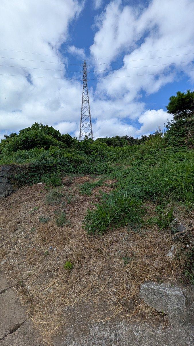 (762.77平方メートル)大分県臼杵市大字井村 住宅用地