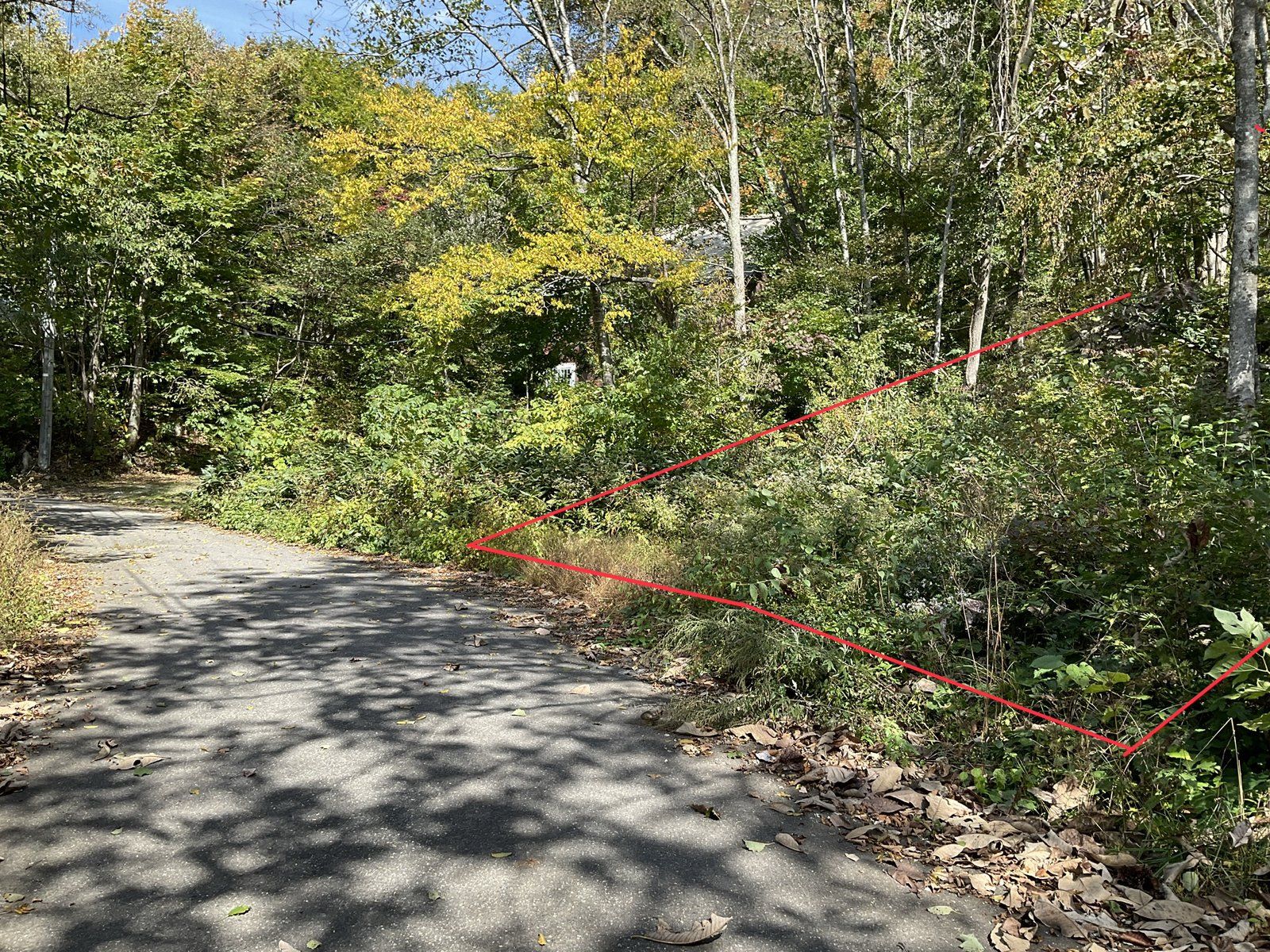 長野県白馬村 住宅地(別荘)② 1167平方メートル
