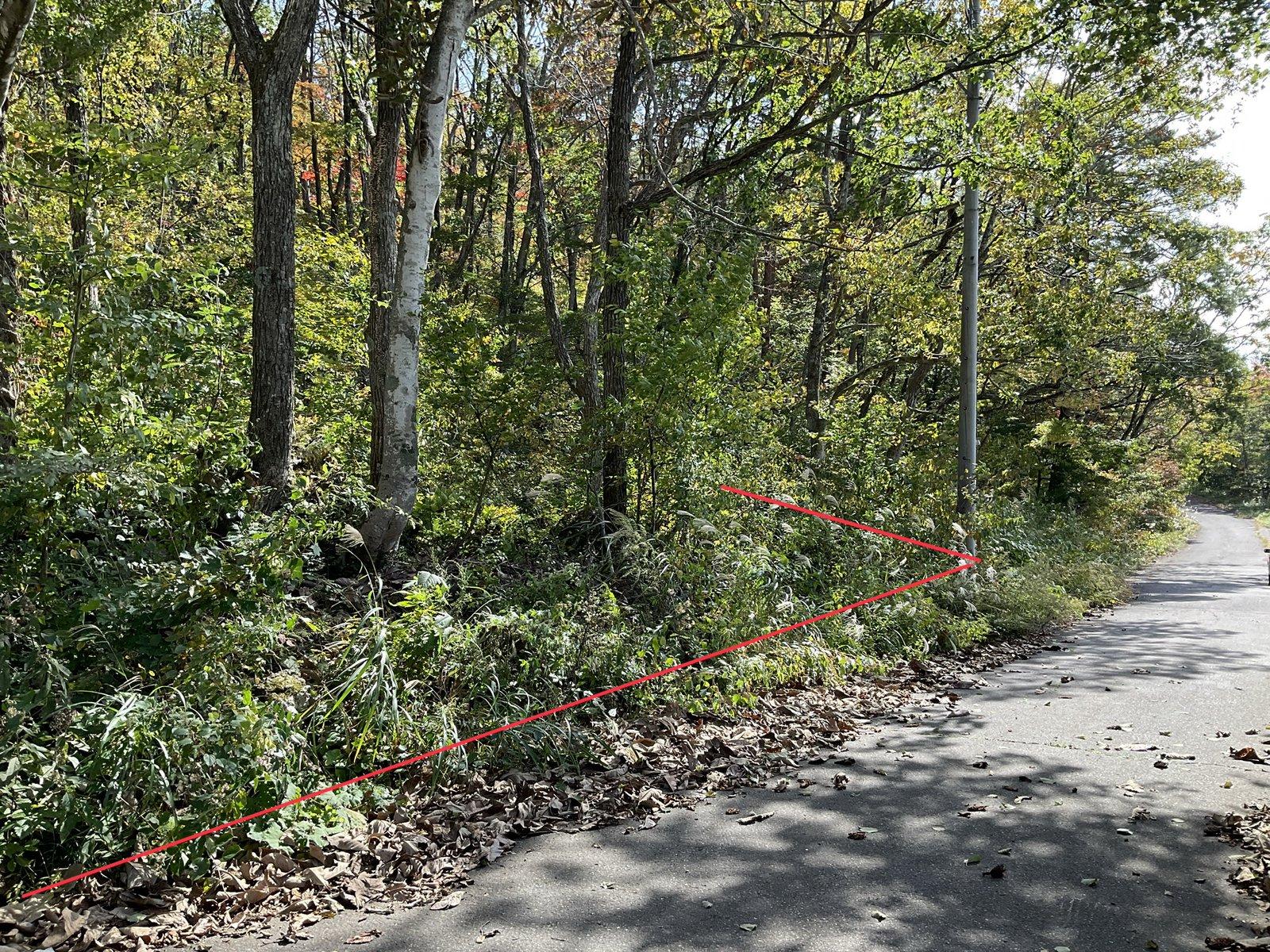 長野県白馬村 住宅地(別荘)③ 1139平方メートル